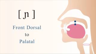 ɲ  voiced front dorsal palatal nasal stop [upl. by Izaak]