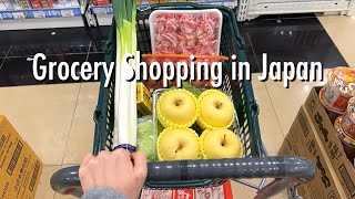 Shopping Trips Compilation🎵supermarket Daiso drug store goodies shop in Japan [upl. by Xad191]