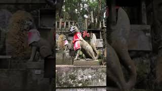 Fushimi Inari Shrine Kyoto [upl. by Caspar]