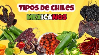 Variedades de chiles [upl. by Arutak]