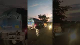 ksrtc mass entry reels trending youtubeshorts draivenig rodviralshorts video sirsananda [upl. by Adamis]