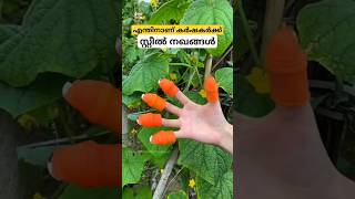 മികച്ച ഒരു കണ്ടുപിടുത്തം thumb knife cutter malayalam shorts [upl. by Roderich]