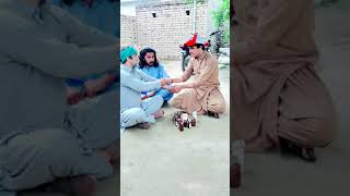 Babolalay hakeem  Chag wazir and his team new funny video [upl. by Yevreh]