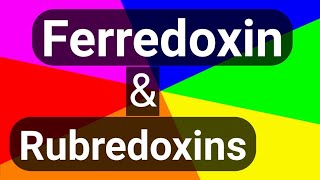 Ferredoxin amp Rubredoxin  Iron Sulphur proteins [upl. by Nnav]