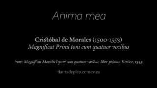 Cristóbal de Morales Magnificat Primi toni cum quatuor vocibus 13 [upl. by Pascale574]