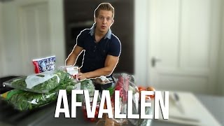 Tips Voor Het Afvallen MaaltijdVoorbeelden [upl. by Ferneau]