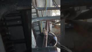 AC copper pipe se pani nikal rha hai trending airconditioning coolingindia coolingsolution [upl. by Roobbie]