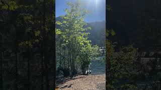 Lake Cushman 🌊⛰️ [upl. by Aika]