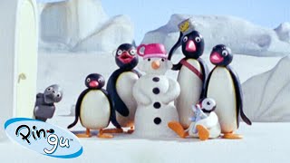 Winter with Pingu 🐧  Pingu  Official Channel  Cartoons For Kids [upl. by Sheryl]