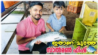 സാൽമൺ എന്ന അത്ഭുത മത്സ്യംഅവയുടെ ചരിത്രവും😳Fishertalker [upl. by Enisaj]