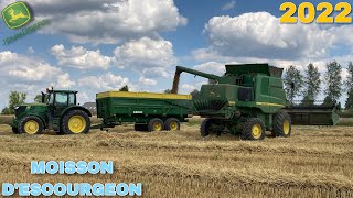 🌾🇧🇪MOISSON D’ESCOURGEON 2022  EN FULL JOHN DEERE  6175r 🌾🇧🇪 [upl. by Glynias]