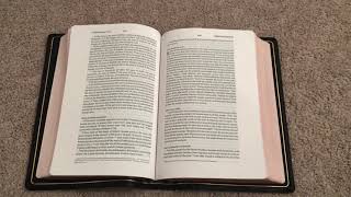 ESV Preaching Bible Review [upl. by Ahtikal729]