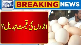 Important News Regarding Egg  Chicken Prices  Lahore News HD [upl. by Ehcor510]