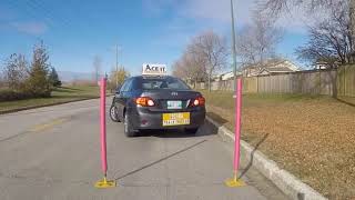 How to Parallel Park with Poles Cones to Pass Your Driving Test [upl. by Lattimer]