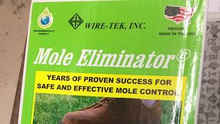 Catching Moles with the Easy set Mole Eliminator Trap [upl. by Fifine]