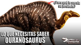 OURANOSAURUS  Spinosaurus NO era el único con quotVELAquot en su espalda [upl. by Lledualc]