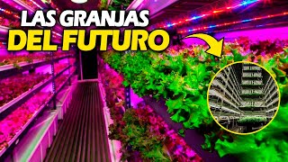 ¡La GRANJA VERTICAL más GRANDE del MUNDO Sostenibilidad y Plantaciones con Tecnología punta [upl. by Hoo]