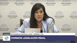 COMISIÓN COMPLETA LEGISLACIÓN PENAL  19 de noviembre de 2024  ORDEN PÚBLICO  Diputados Argentina [upl. by Rafaelof369]