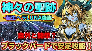 【神々の聖跡】転生ヘラLUNA降臨をブラックバードで安定攻略！進化に必要な奇石をゲットしよう！パズドラ [upl. by Aleafar]