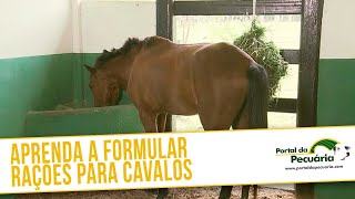 Aprenda a formular rações para cavalos [upl. by Llerret]