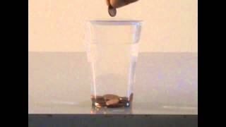 Waters surface tension  physics experiment [upl. by Isbel]