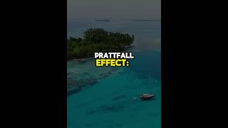 Pratfall Effect lawofattraction power success psychology quotes daily [upl. by Seed]