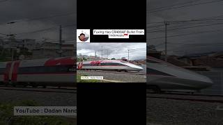 Indonesian Chinese Fuxing Hao CR400AF Bullet Train for Jakarta Bandung Routes Kereta Cepat Whoosh [upl. by Dylan]