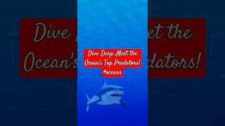 Dive Deep Meet the Oceans Top Predators oceans [upl. by Etteragram]