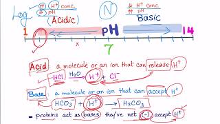 Acid Base Disorders part 2 acidosis vs acidemia [upl. by Ahkeber]