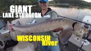 GIANT Lake STURGEON on Wisconsin River  Sturgeon Almost Jumps in the Boat [upl. by Romy626]