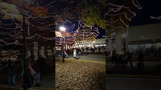 Dahlonega Ga Christmas lighting on the square dahlonega [upl. by Frissell]