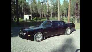 Thorough review of a 1978 Pontiac Firebird Trans Am [upl. by Barn]