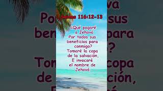 Salmos 1161213 [upl. by Eyllek565]