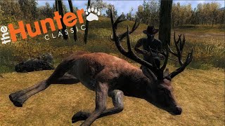 Hunting Red Deer and Fallow on Hirschfelden in The Hunter Classic [upl. by Lovering]