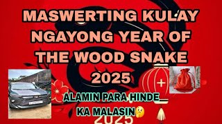 LUCKY COLOR OF THE YEAR 2025 ALAMIN PARA PAGHANDAAN ANG IYONG MAGANDANG KAPALARAN [upl. by Hoskinson]