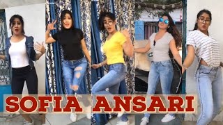 Best Tik Tok videos of Sofia Ansari [upl. by Dorahs361]