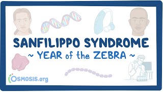 Sanfilippo syndrome Year of the Zebra [upl. by Rfinnej]