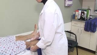 Peripheral Vascular Arterial Testing [upl. by Aisekal901]