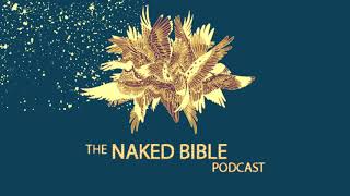 Naked Bible Podcast 219 — Question amp Answer 29 [upl. by Irollam]