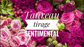 💓 Taureau ♉️ tirage sentimental novembre 2024 💓 [upl. by Mira441]