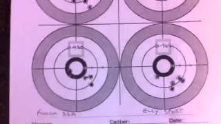 22lr rimfire ammo test comparison cci rws fiocchi Ely [upl. by Petie660]