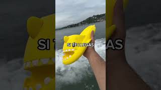 ¡Nunca te subas a una lancha con tus Sharklas 😭🦈 [upl. by Felicidad]