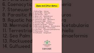 Algae and Other Names  Biology Bloom  Phycology [upl. by Liesa]