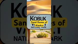 Sand Dunes of Alaska AlaskaDesert KobukValley USNationalParks GeographyFacts shorts [upl. by Mayfield]