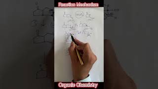 Acid Catalyzed Hydrolysis of Cyclic Ester  Organic Reaction Mechanism  JEE  Shorts [upl. by Ydnyl433]