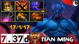 tian ming  Night Stalker  17117  737d  Immortal Dota [upl. by Vaientina]