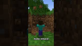 Minecraft AMA Boyumu Siz Yönetiyorsunuz 📏 [upl. by Teriann]