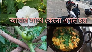 প্রথম বারের মতো কুমড়োর বড়ি দিয়ে ফুলকপি রান্না করলাম [upl. by Areivax396]