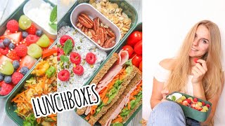 6 gesunde Lunchboxes  Kalorienangaben I Rezepte für die Arbeit Schule Uni I mealprep [upl. by Ardnait]