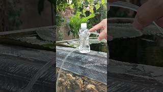 Water pump without electricity from plastic bottles [upl. by Mackler]